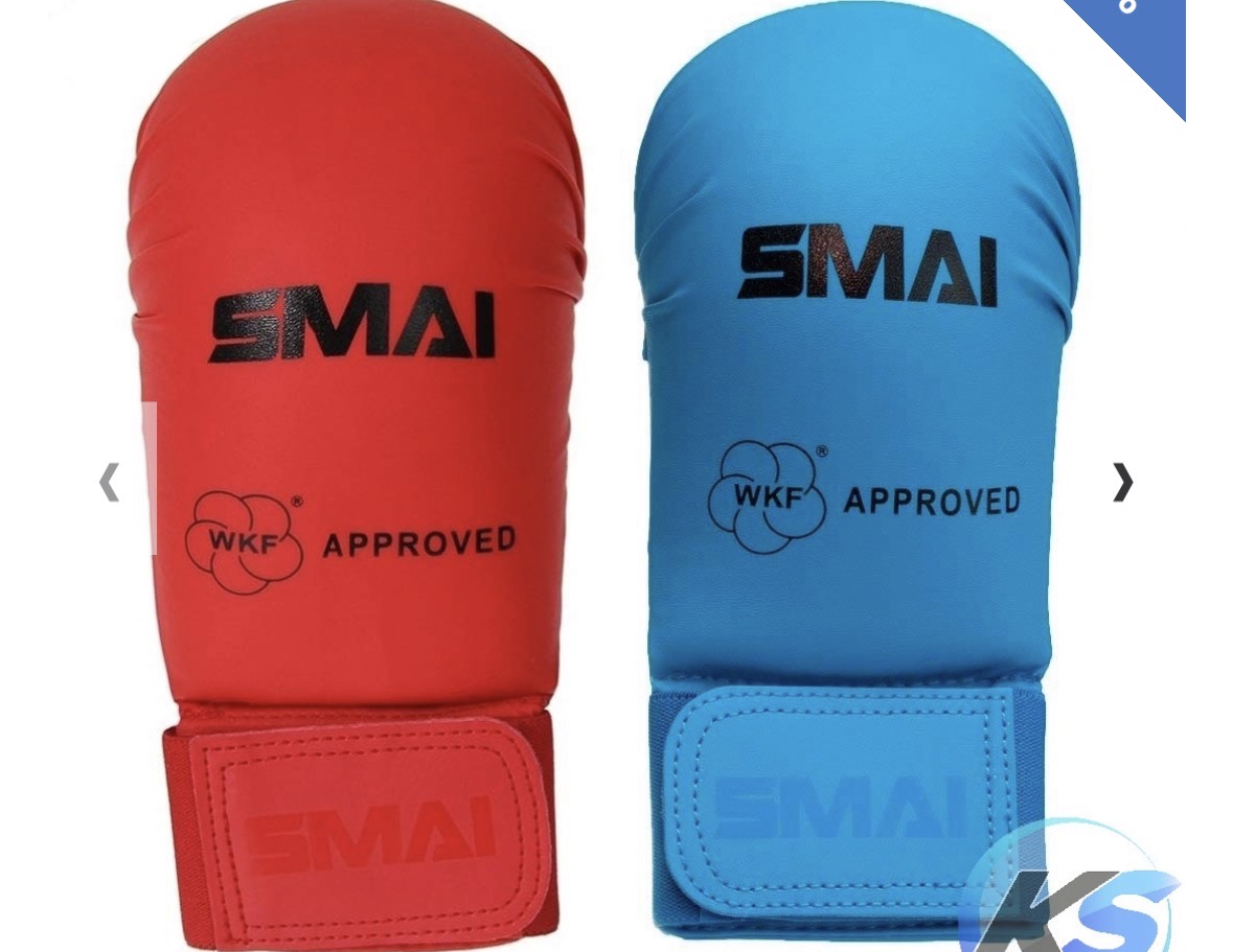 Guantini Kumite SMAI